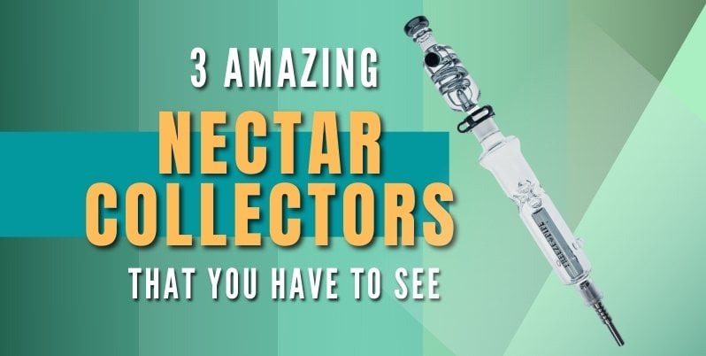 best nectar collectors
