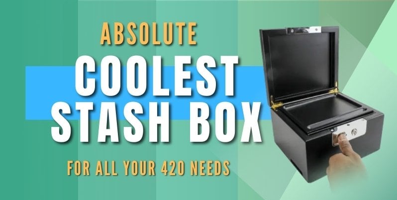stash boxes
